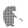 Papa Bear