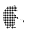 Papaye Ours