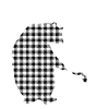 Uncle Bear