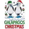 Galapagos Christmas
