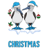 Galapagos Christmas