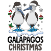 Galapagos Christmas