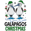 Galapagos Christmas