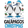Galapagos Christmas