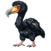 Dodos Dodo