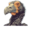 Dodos Dodo