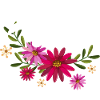 Anteater Flowers