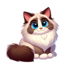 ragdoll 14