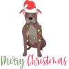 American Bulldog, Bully, Christmas, Christmas