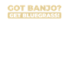 Banjo