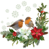 Christmas Robins