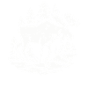 Élan
