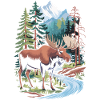 Elk