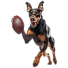 Doberman
