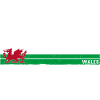 Wrexham Wales Pride