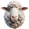 Sheep Head 1