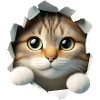 Cat in Hole 1