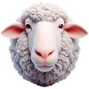 Sheep Head 2