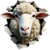 Sheep Head in Hole 1