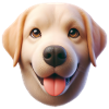 Dog Head 1