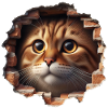 Cat in the Hole 2