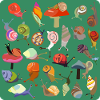 Snail Bouquet