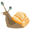 Snail orange