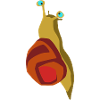 Snail rouge
