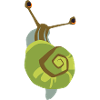 Snail tigré