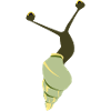 Escargot vert