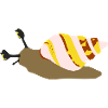 Snail rose