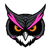 Cool Cartoon Owl