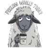 Feeling Woolly today