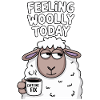 Feeling Woolly today