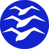 Classic Gliding logo