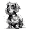 Wire-haired dachshund drawn - Dachshund painted
