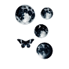planet, butterfly, moon, illustration, planet