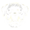 Rottweiler Head Ink Illustration