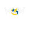 Volleyball: I'm her biggest fan