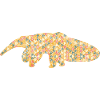 Anteater Geometric