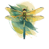 Dragonflies Dragonfly