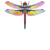 Libellules Libellule