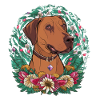 Rhodesian Ridgeback and Beautiful Flowers