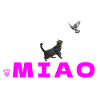 Miaulement Aérien