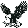 Eagle on the Branch