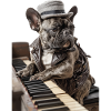 Bouledogue français