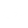 Le requin blanc prédateur