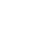 lachende Schildkröte mit Krone