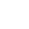 Cape Town Palmen Kapstadt