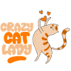 Crazy Cat Lady II